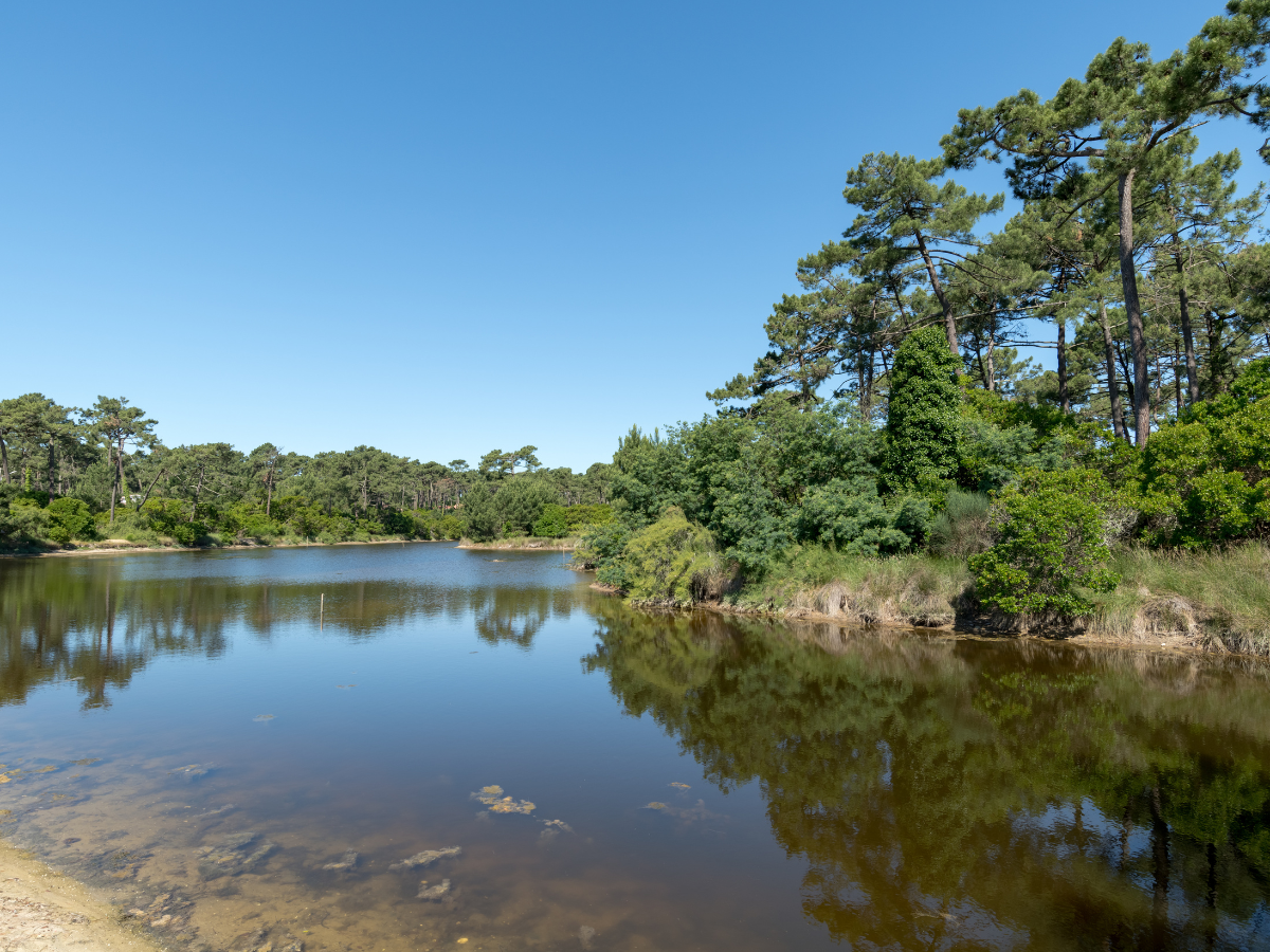 Design sans titre - 2025-09-09T045023.162 https://property-cap-ferret.com/wp-content/uploads/2025/09/Design-sans-titre-2025-09-09T045023.162.png